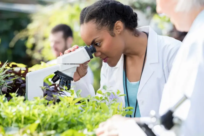 Best Schools For Soil Sciences : Credits: ASU