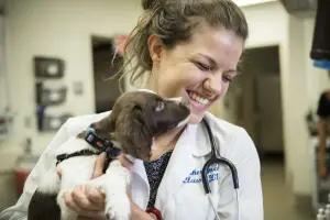 25 Best Veterinary Schools In The US 2025 Image49 7 300x200