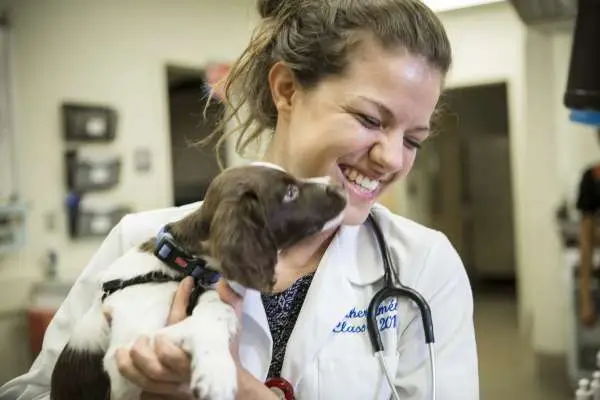 Best Veterinary Schools : Credits: University of Florida