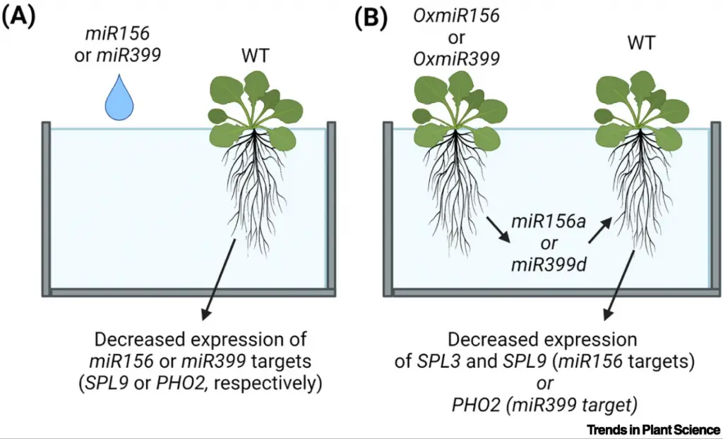 Credits: Cell Press, High Impact Factor Journals in Cell Biology ,