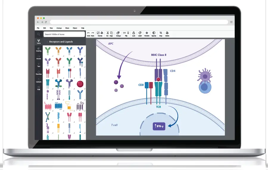 Credits: BioRender, Online Tools to Draw Molecular Diagram,