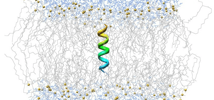 Credits: GROMACS, Best Software for Molecular Modeling and Simulations,