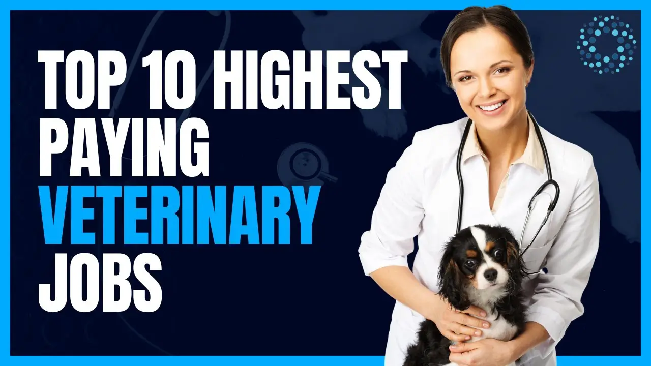Zoo Veterinarian Salary zoo-veterinarian-salary